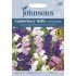 Seminte CAMPANULA medium-Canterbury Bells- Cottage Mixed -Clopotei inalti