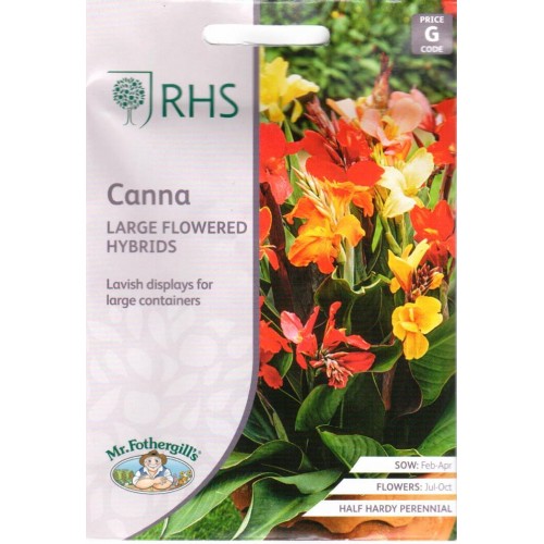 Seminte CANNA indica - Large Flowered Hybrids - Canna