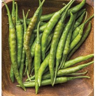 Seminte CAPSICUM annuum-Pepper Hot- Curry Pepper -Ardei iute