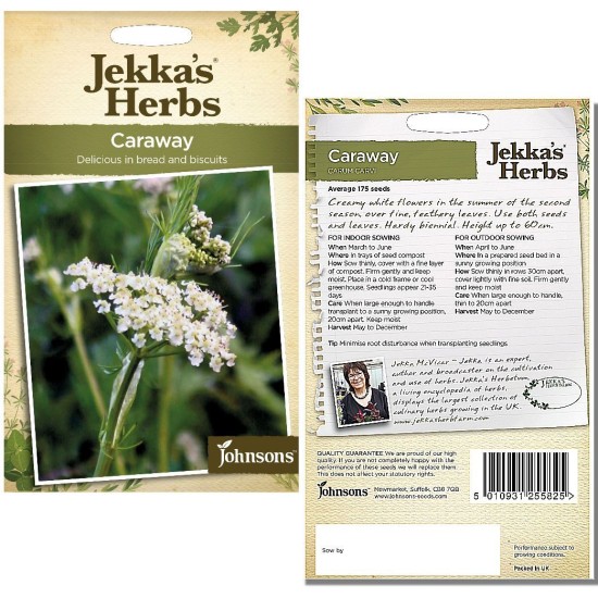 Seminte CARUM carvi-Herbs- Caraway -Chimen Seminte CARUM carvi-Herbs- Caraway -Chimen