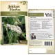 Seminte CARUM carvi-Herbs- Caraway -Chimen Seminte CARUM carvi-Herbs- Caraway -Chimen