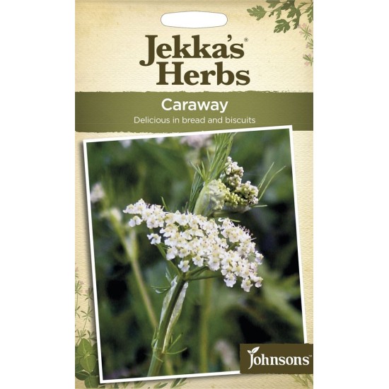 Seminte CARUM carvi-Herbs- Caraway -Chimen Seminte CARUM carvi-Herbs- Caraway -Chimen