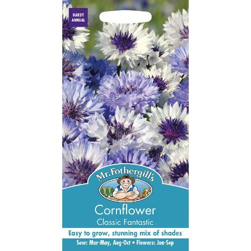 Seminte CENTAUREA cyanus-Cornflower- Classic Fantastic-Albastrele inalte