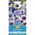 Seminte CENTAUREA cyanus-Cornflower- Classic Fantastic-Albastrele inalte