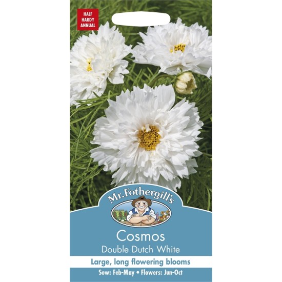 Seminte COSMOS bipinnatus- Double Dutch White -Mararite