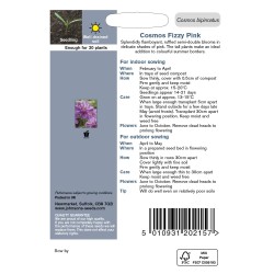 Seminte COSMOS bipinnatus- Fizzy Pink -Mararite Seminte COSMOS bipinnatus- Fizzy Pink -Mararite