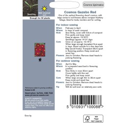 Seminte COSMOS bipinnatus- Gazebo Red -Mararite Seminte COSMOS bipinnatus- Gazebo Red -Mararite