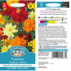 Seminte COSMOS sulphureus- Brightness Mix -Mararite Seminte COSMOS sulphureus- Brightness Mix -Mararite