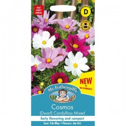 Seminte COSMOS bipinnatus- Candyfloss Mixed (Dwarf) -Mararite 