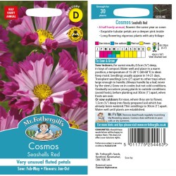 Seminte COSMOS bipinnatus- Seashells Red -Mararite Seminte COSMOS bipinnatus- Seashells Red -Mararite
