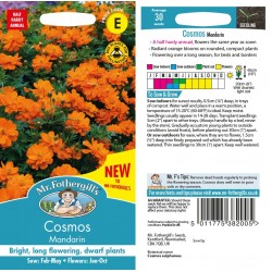 Seminte COSMOS sulphureus- Mandarin -Mararite
