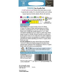 Seminte COSMOS bipinnatus- Tetra Versailles Flush -Mararite