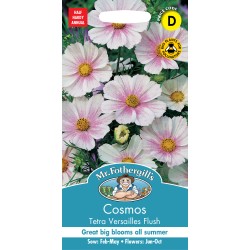 Seminte COSMOS bipinnatus- Tetra Versailles Flush -Mararite