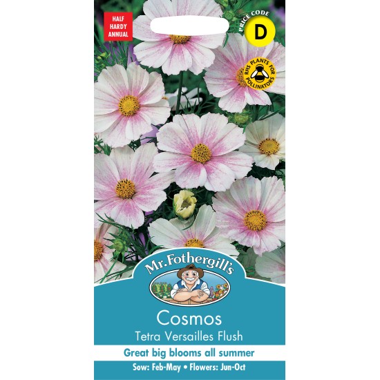 Seminte COSMOS bipinnatus- Tetra Versailles Flush -Mararite