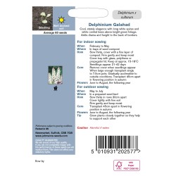 Seminte DELPHINIUM cultorum- Galahad -Nemtisor