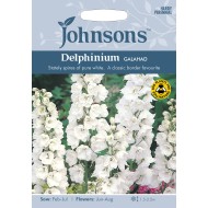 Seminte DELPHINIUM cultorum- Galahad -Nemtisor