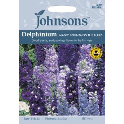 Seminte DELPHINIUM cultorum- Magic Fountains the Blues -Nemtisor