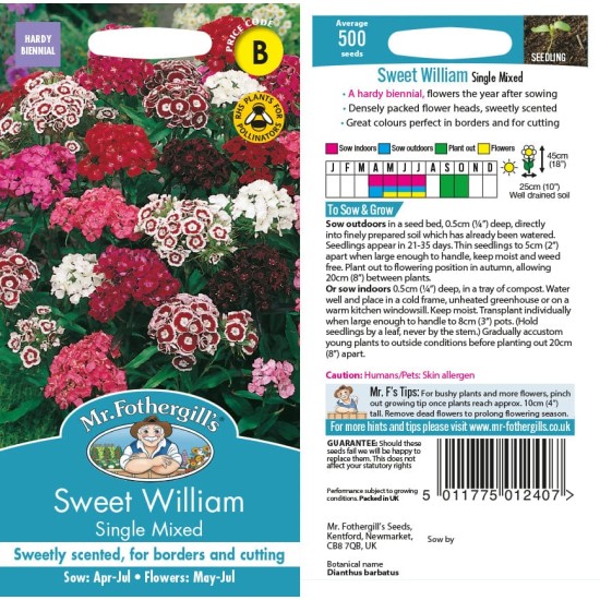 Seminte DIANTHUS barbatus-Sweet William- Single Mixed -Garofite turcesti