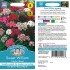 Seminte DIANTHUS barbatus-Sweet William- Single Mixed -Garofite turcesti