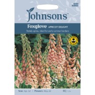 Seminte DIGITALIS purpurea-Foxglove- Apricot Delight -Degetel