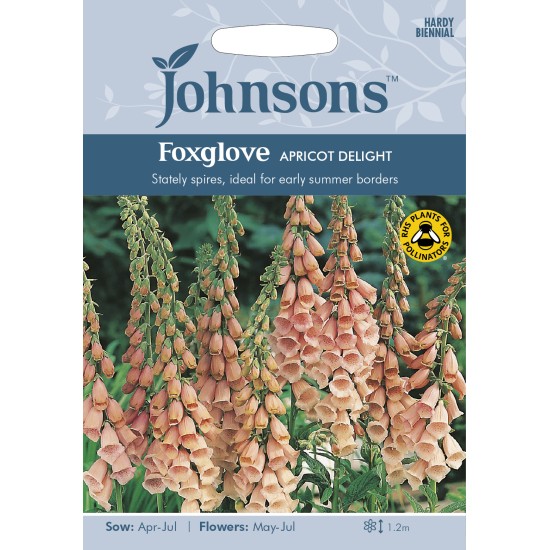 Seminte DIGITALIS purpurea-Foxglove- Apricot Delight -Degetel Seminte DIGITALIS purpurea-Foxglove- Apricot Delight -Degetel