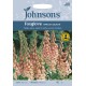 Seminte DIGITALIS purpurea-Foxglove- Apricot Delight -Degetel Seminte DIGITALIS purpurea-Foxglove- Apricot Delight -Degetel