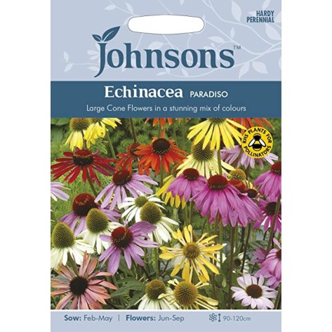 Seminte ECHINACEA purpurea- Paradiso -Echinacea