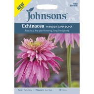 Seminte ECHINACEA purpurea- Paradiso Super-Duper -Echinacea roz batut