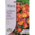 Seminte ESCHSCHOLTZIA californica-Californian Poppy- Apricot Chiffon -Mac californian