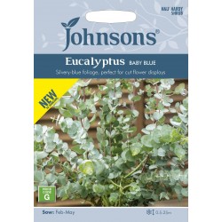 Seminte EUCALYPTUS pulverulenta- Baby Blue