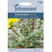 Seminte EUCALYPTUS pulverulenta- Baby Blue