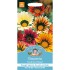 Seminte GAZANIA rigens- Sunshine Mixed -Gazania