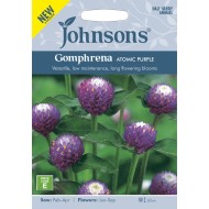 Seminte GOMPHRENA globosa-Globe Amaranth- Atomic Purple -Flori de pai globuloase Seminte GOMPHRENA globosa-Globe Amaranth- Atomic Purple -Flori de pai globuloase