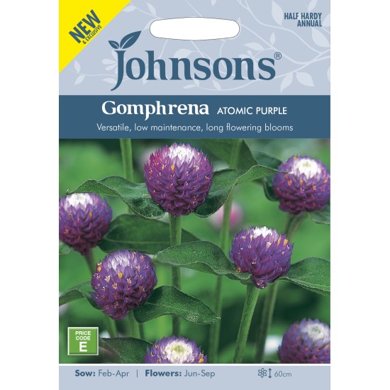 Seminte GOMPHRENA globosa-Globe Amaranth- Atomic Purple -Flori de pai globuloase Seminte GOMPHRENA globosa-Globe Amaranth- Atomic Purple -Flori de pai globuloase
