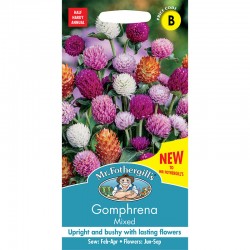 Seminte GOMPHRENA globosa-Globe Amaranth- Mixed - Flori de pai globuloase
