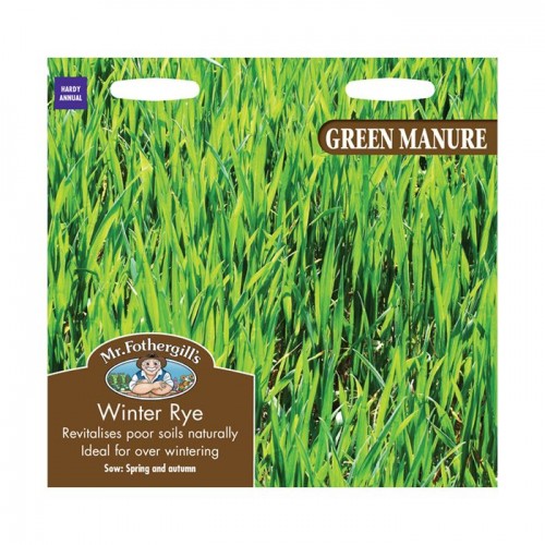 Seminte SECALE cereale -green manure- Winter Rye