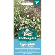Seminte GYPSOPHILA muralis- Coton Candy Mix -Floarea Miresei pitica