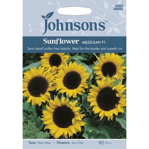 Seminte HELIANTHUS annuus-Sunflower- Mezzulah F1-Floarea-Soarelui