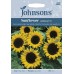 Seminte HELIANTHUS annuus-Sunflower- Mezzulah F1-Floarea-Soarelui