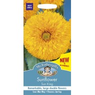 Seminte HELIANTHUS annuus-Sunflower- Sun King -Floarea-Soarelui