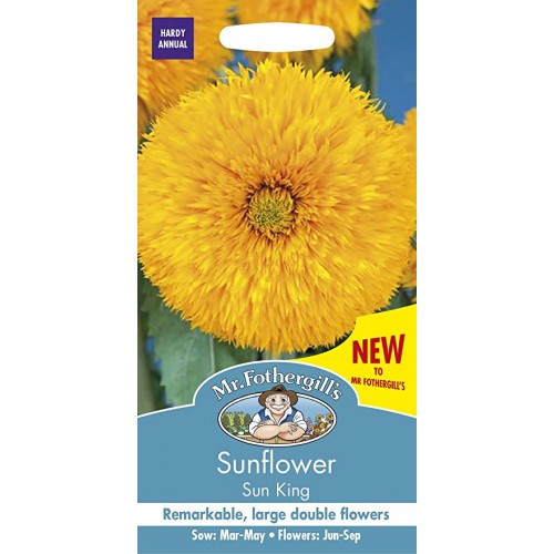 Seminte HELIANTHUS annuus -Sunflower- Sun King-Floarea-Soarelui