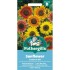 Seminte HELIANTHUS annuus-Sunflower- Sunburst Mixed -Floarea-Soarelui