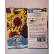 Seminte HELIANTHUS annuus-Sunflower- Magic Roundabout F1 -Floarea-Soarelui