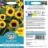 Seminte HELIANTHUS annuus-Sunflower- (Dwarf) Mahogany Bicolour -Floarea-Soarelui