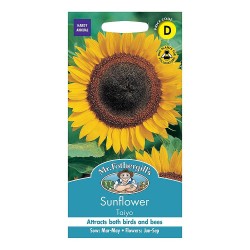 Seminte HELIANTHUS annuus-Sunflower- Taiyo -Floarea Soarelui