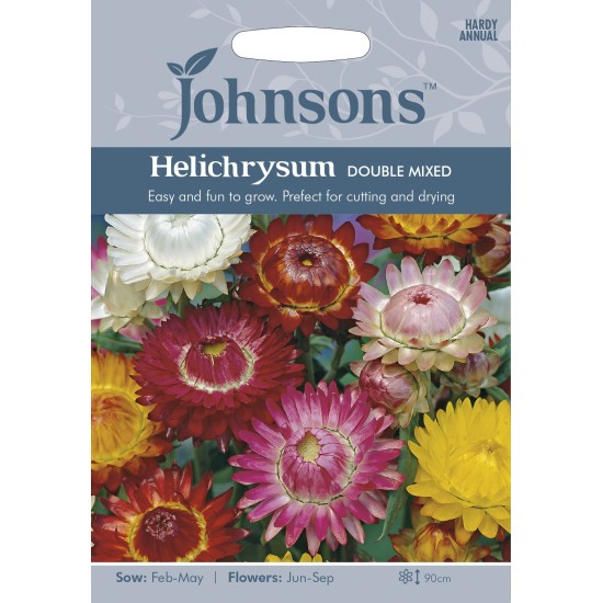 Seminte HELICHRYSUM bracteatum- Double Mixed -Flori de pai