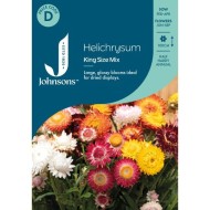 Seminte HELICHRYSUM bracteatum- King Size Mix -Flori de pai