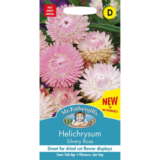 Seminte HELICHRYSUM bracteatum- Silvery Rose -Flori de pai