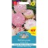 Seminte HELICHRYSUM bracteatum- Silvery Rose -Flori de pai