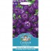 Seminte IBERIS umbellata Candytuft Purple Rain - Lilicele